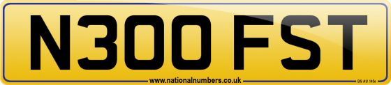 N300 FST