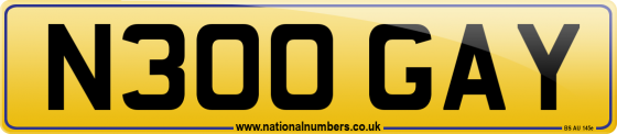 N300 GAY