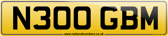 N300 GBM