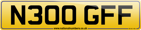 N300 GFF