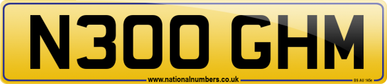 N300 GHM
