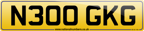 N300 GKG