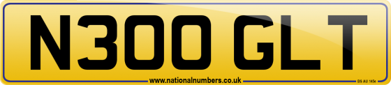 N300 GLT