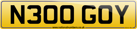 N300 GOY