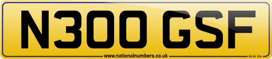 N300 GSF
