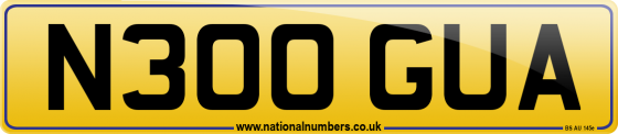N300 GUA