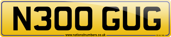 N300 GUG