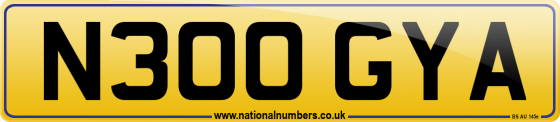 N300 GYA