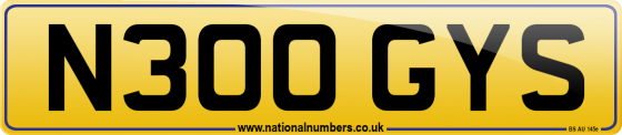 N300 GYS