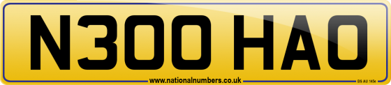 N300 HAO