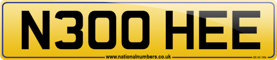 N300 HEE