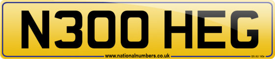 N300 HEG