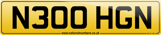 N300 HGN