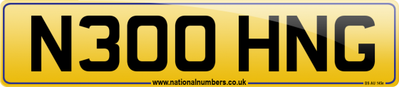 N300 HNG