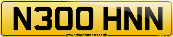 N300 HNN