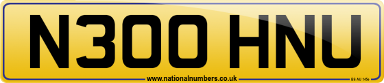 N300 HNU