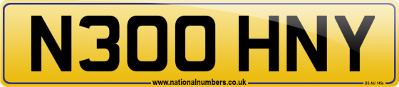 N300 HNY