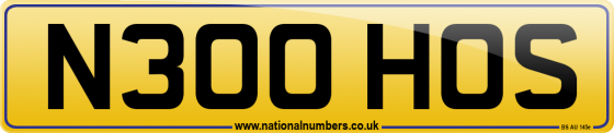 N300 HOS