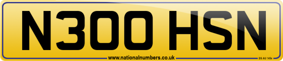 N300 HSN