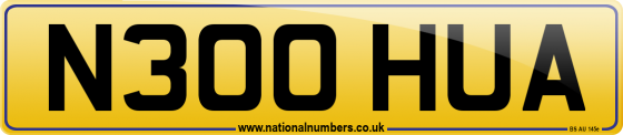 N300 HUA