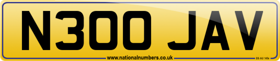 N300 JAV