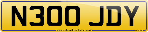 N300 JDY