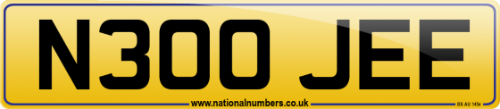 N300 JEE