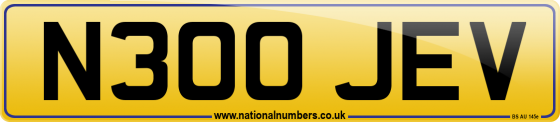 N300 JEV