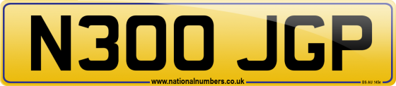 N300 JGP