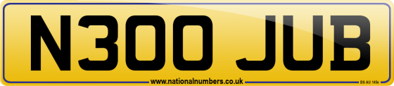 N300 JUB