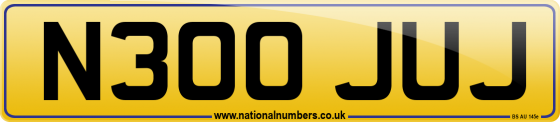 N300 JUJ