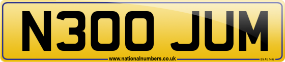 N300 JUM