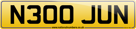 N300 JUN