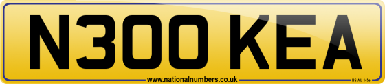 N300 KEA