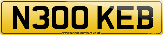 N300 KEB