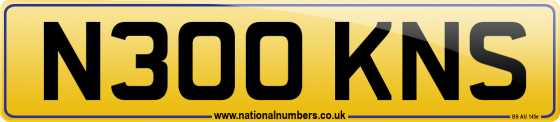 N300 KNS