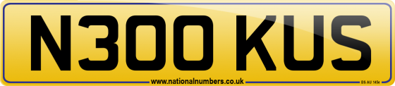 N300 KUS