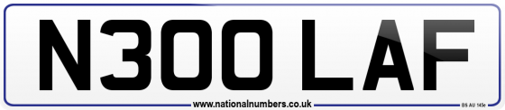 N300 LAF