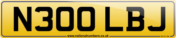 N300 LBJ