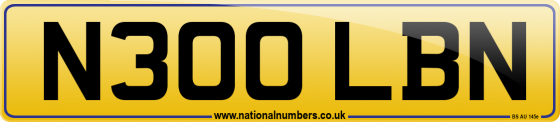 N300 LBN