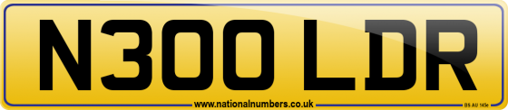 N300 LDR