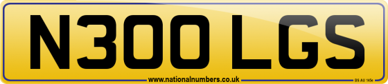 N300 LGS