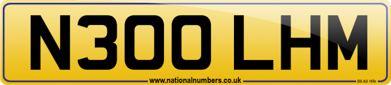 N300 LHM