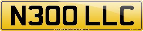 N300 LLC