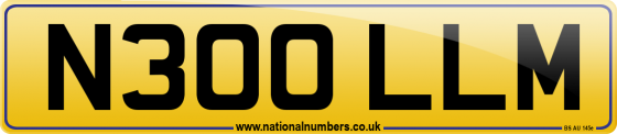 N300 LLM