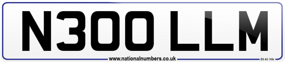 N300 LLM