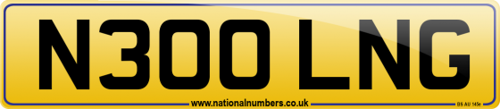 N300 LNG