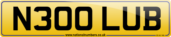 N300 LUB
