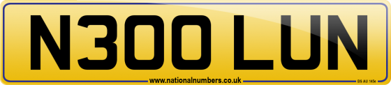 N300 LUN