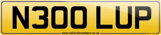 N300 LUP